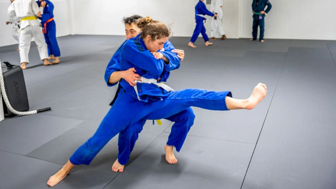 Martial arts near The Heights, Houston