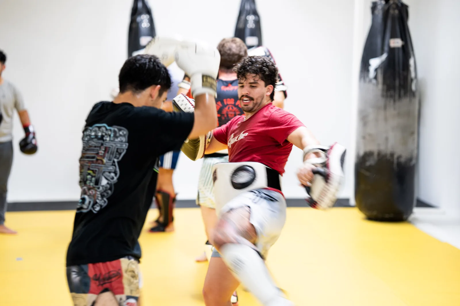 Martial arts near Midtown, Houston